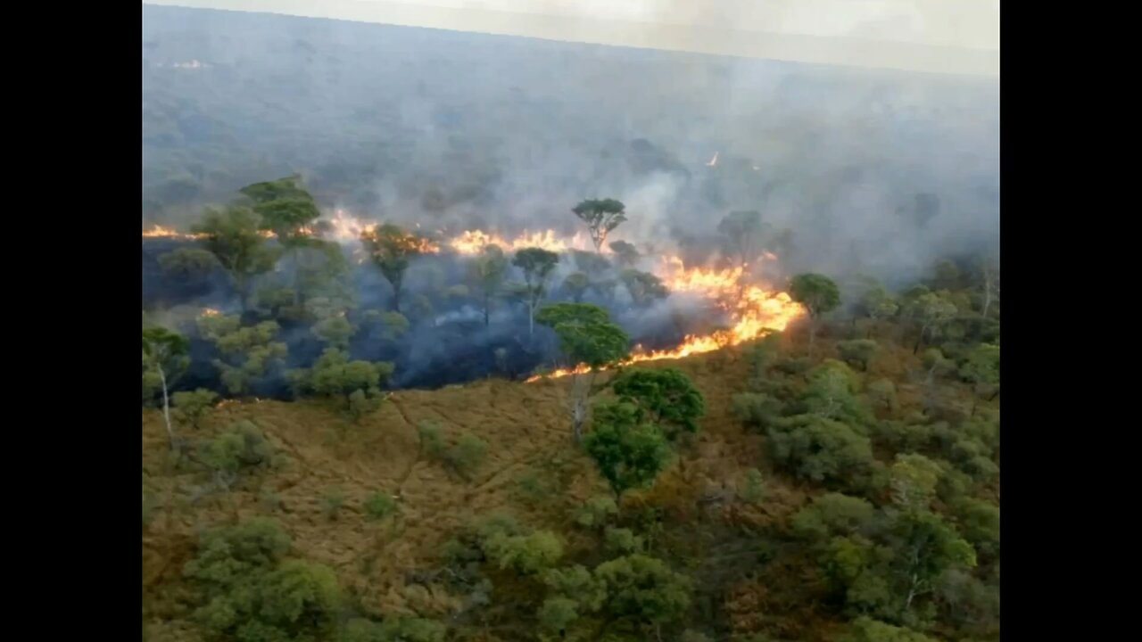 Desmatamento agrava incêndios florestais ￼