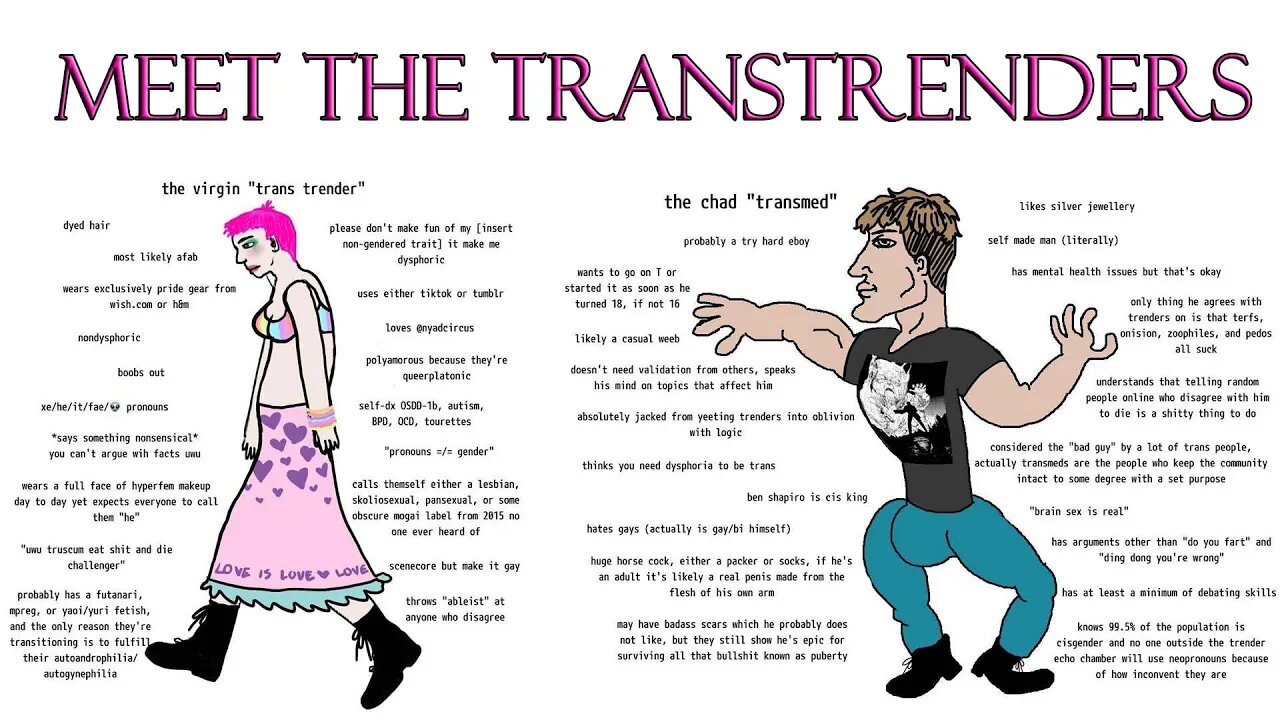 Meet the transtrenders: how they harm true transsexuals.