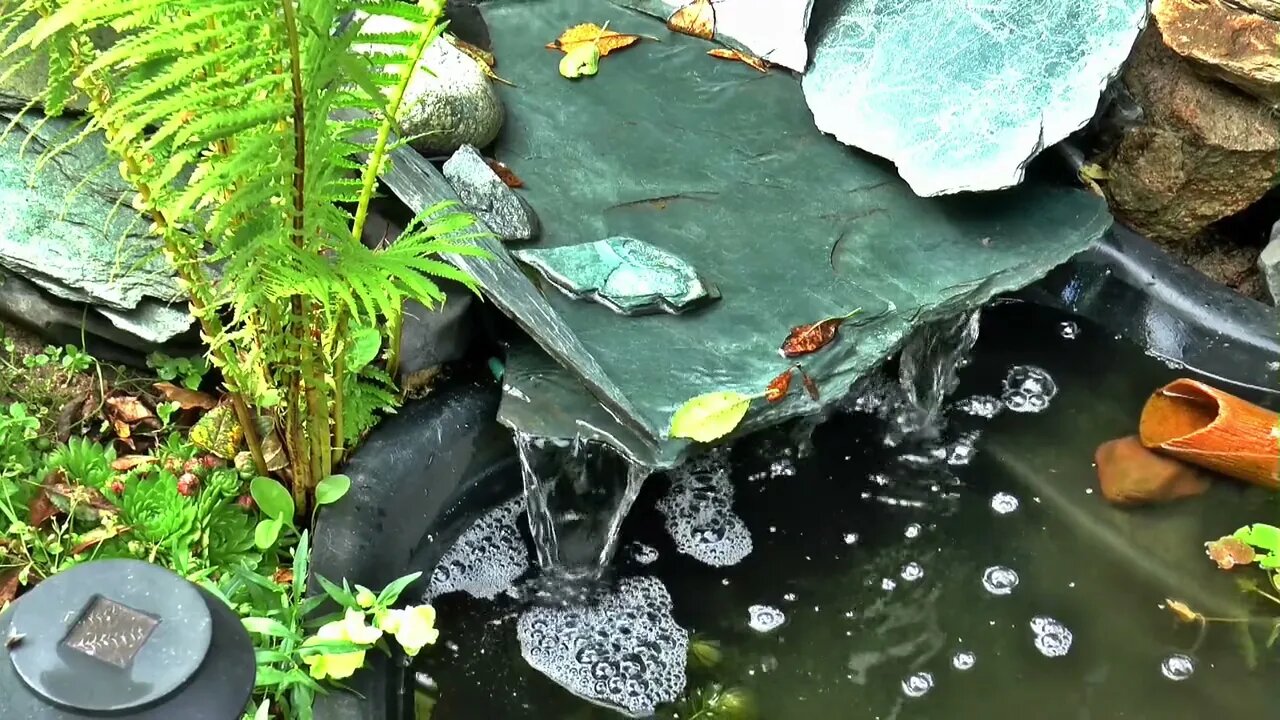 Música para Meditar e Relaxar com Sons da Natureza - Acalmar os Pensamentos