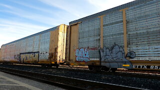 CN 3071 & CN 3213 Engines Manifest Train Westbound In Ontario