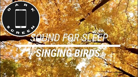 Sound for sleep Singing Birds on Dark Screen 3 hours