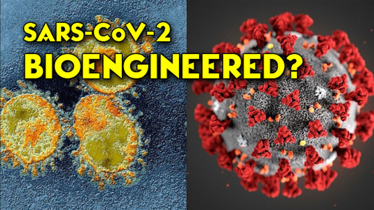 593. Was SARS CoV-2 Bioengineered?