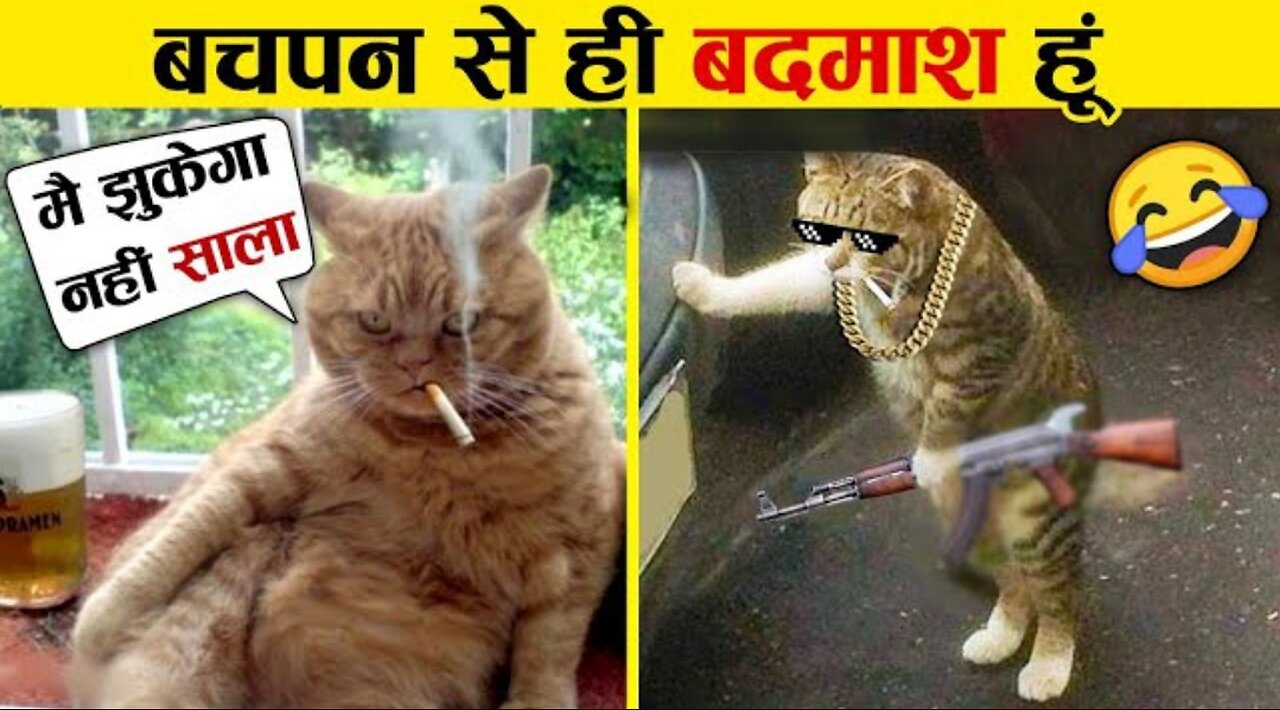 इन जानवरों से पंगा ना बाबा ना 😁🤣.... Funny Animals Video 2024