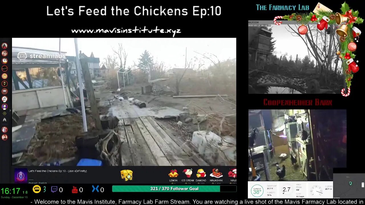 Let's Feed the Chickens Ep:10
