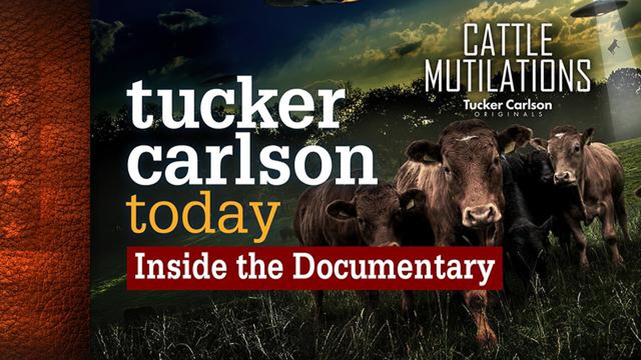 Tucker Carlson Today - S02E110 - Cattle Mutilations (11-16-2022)