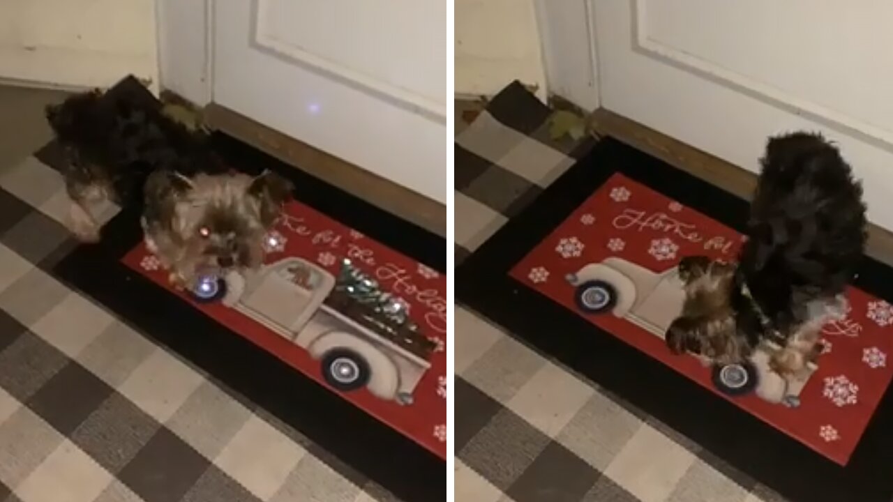 Grinch Doggy Hates Singing Christmas Door Mat