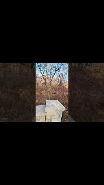 Walking Alone: Discovering the Enchanted Forest Park in St. Louis #nature #parks #naturewalk