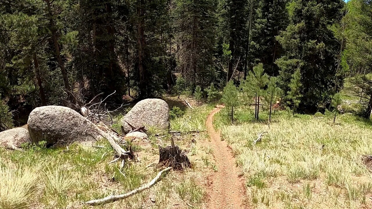2012 GasGas EC300 - Singletrack Part 2