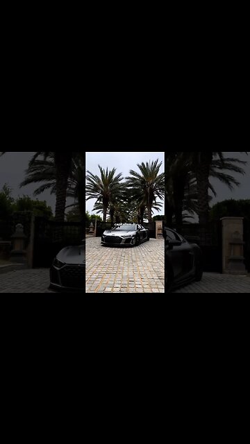 Andrew Tate the Top G - 5 years of work for a lifetime of freedom 👑 Resist the slave programing 💀