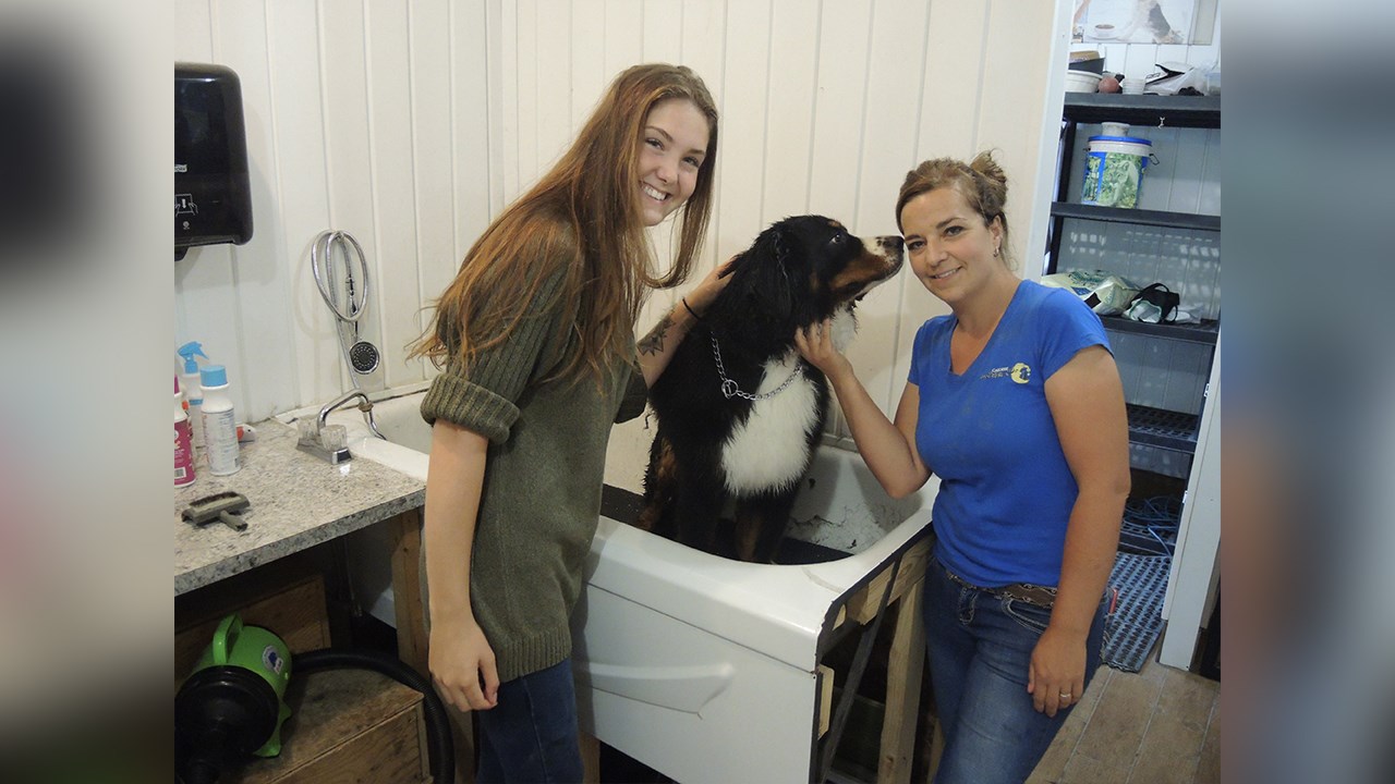 Visite Le Chien d'Or