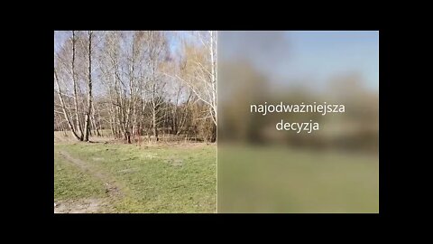 najodważniejsza decyzja