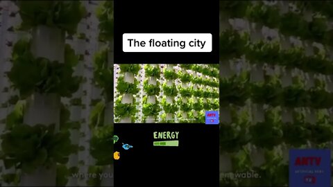 Floating city 🏙 tiktok artificialnewstv