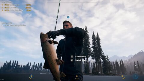 How to properly catch fish?