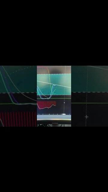 Bitcoin Price Trap Update #Shorts