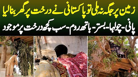 nique Tree House in Karachi | Karachi Ka Tree Man | Tarzan in Karachi | Tree Man | Nation Point