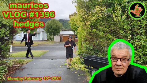 maurieos VLOG #1396 hedges