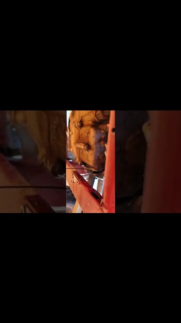 #shorts #2022 funny,prank,funjokes,dad jokes,funny memes,funny video,fun,laughing,funny animal,knock