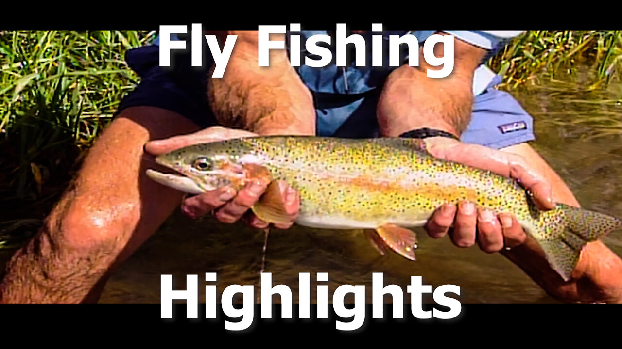 Fly Fishing Highlights