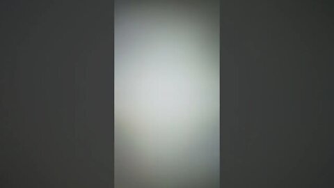 Lonnie1Love True Freeman Doesn't Lie