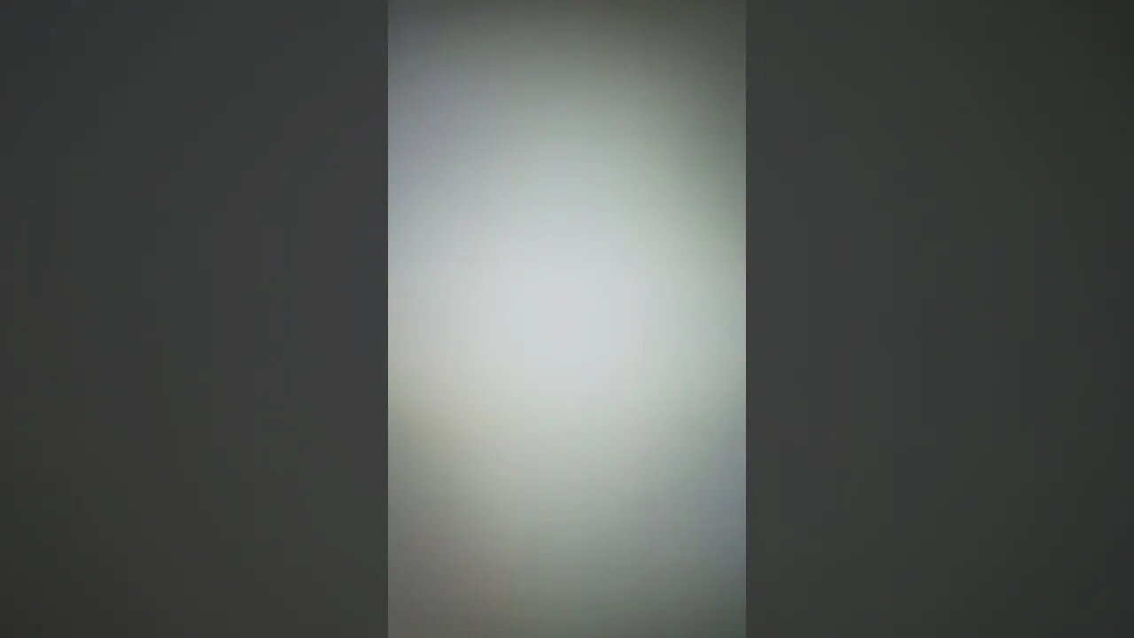 Lonnie1Love True Freeman Doesn't Lie