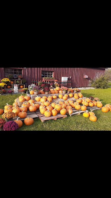 The Food We Eat Is Killing Us!