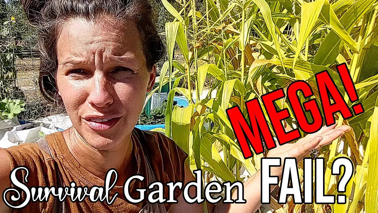 Survival Garden (MEGA FAIL?) ~ Survivor Pantry Dinner ~ Weekly Meal Inspiration