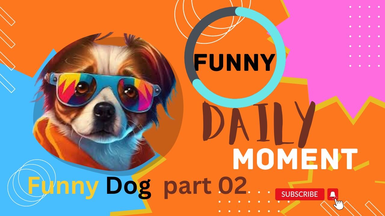 Animals Crazy Moments | Episode 092