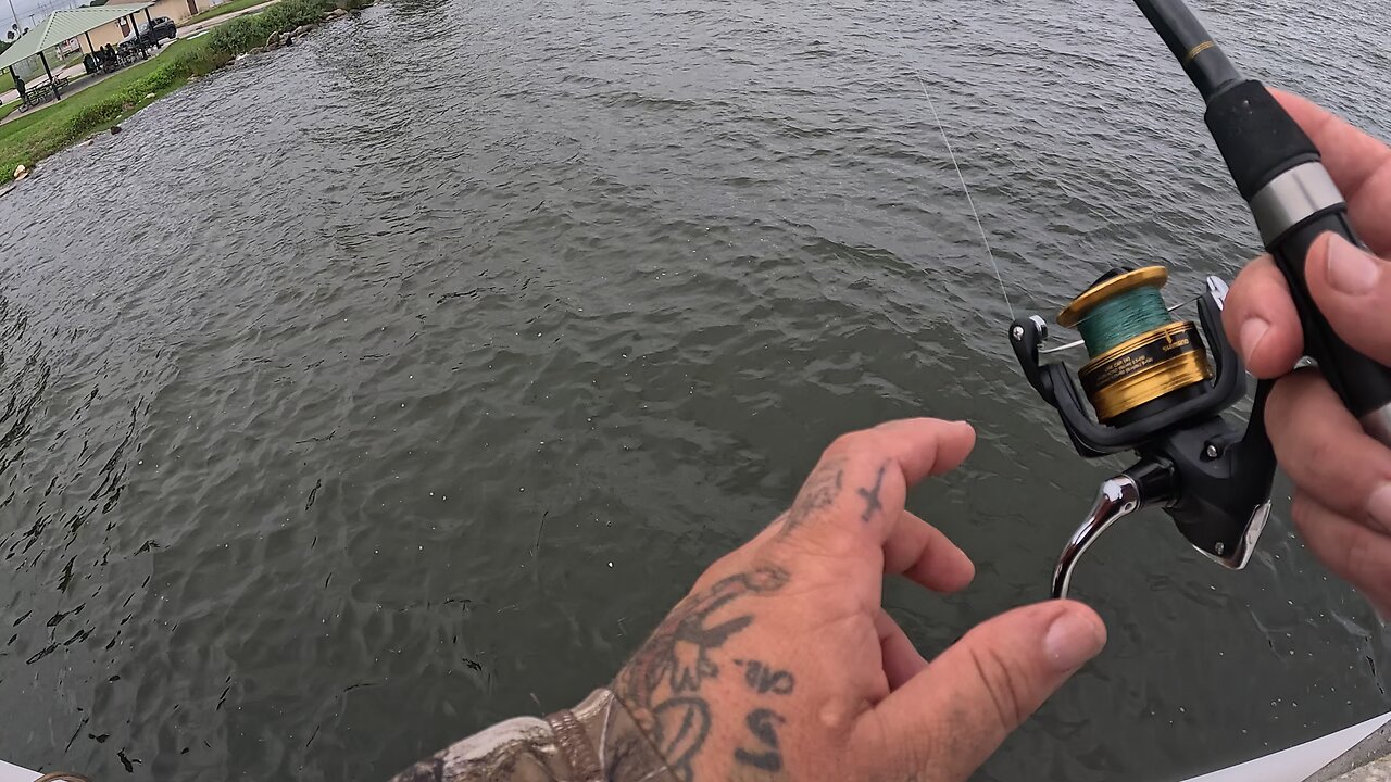 Sheepshead fishing Florida