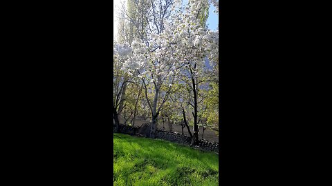 Gilgit-baltistan skardu