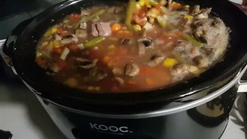 Cooking Up Some Beef and Vegetable Stew! Food Rizza Eating in US!