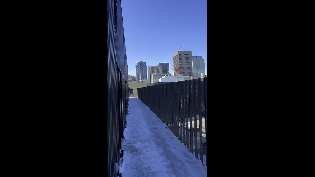 Frozen Lake in downtown