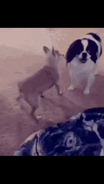 TWERKING SEEMS THE SOLUTION