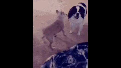 TWERKING SEEMS THE SOLUTION
