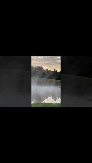 Good morning pond steam￼
