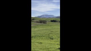 Mount Diablo from Lime Ridge