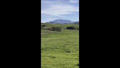 Mount Diablo from Lime Ridge