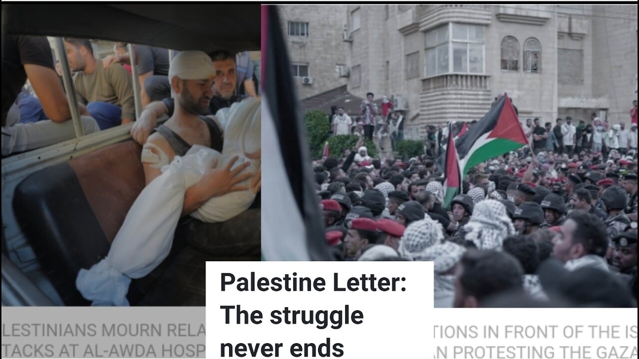 Palestine: A Livestreamed Hºlocaust