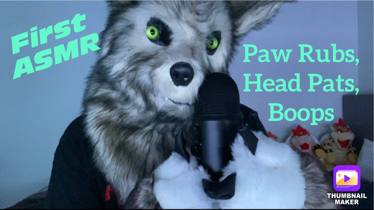 My First Furry ASMR Video!