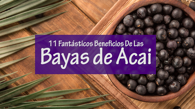 11 Fantásticos Beneficios De Las Bayas de Acai