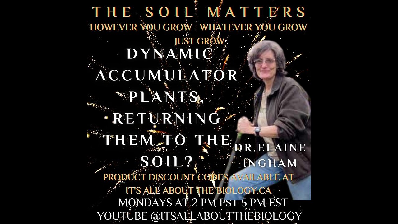 Dynamic Accumulator Plants, Returning Them To The Soil?