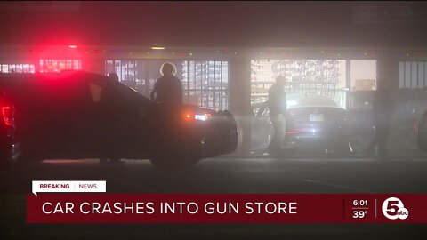 Car crashes into Bath Township gun store