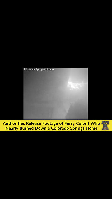 Authorities Release Footage of Furry Culprit Who Nearly Burned Down a Colorado Springs Home