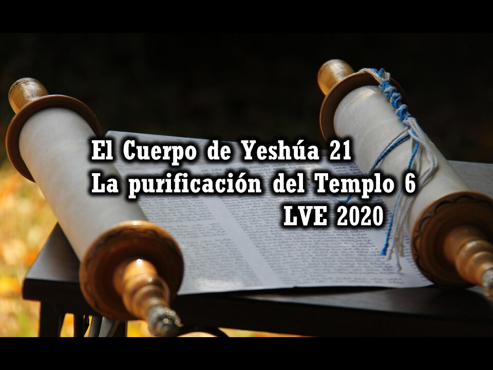 El Cuerpo de Yeshúa 21 - La purificación del Templo 6