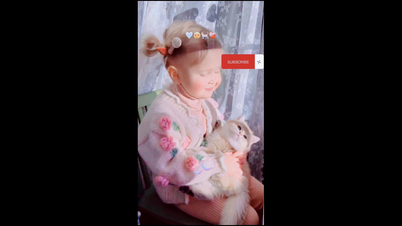 Cute Baby Cat Lover