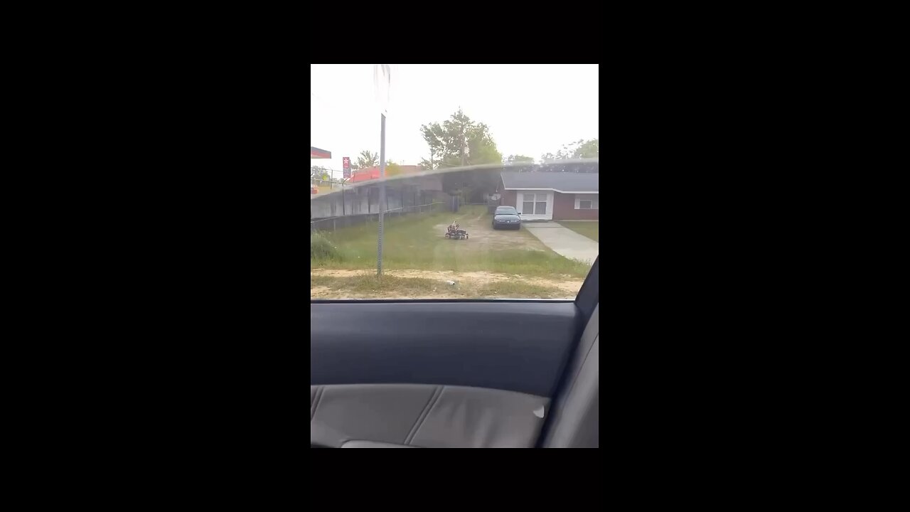 Dog 🐕🐕