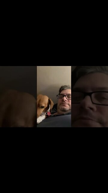 Weiner Dog Monkey Tries to Comfort Me