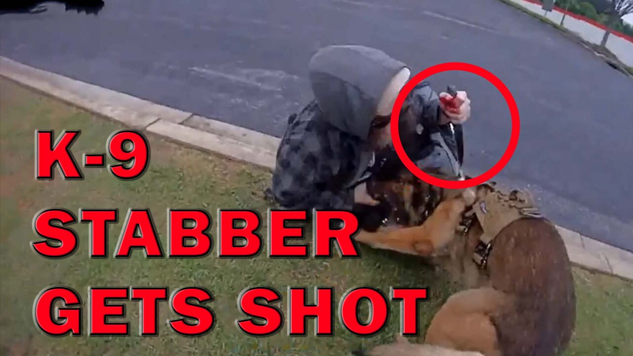 K-9 Survives After Brutal Stabbing By Violent Suspect On Video! LEO Round Table S09E130