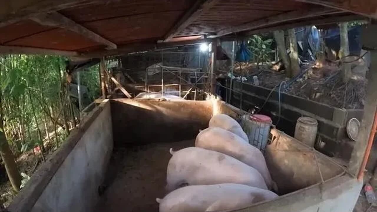 LETS GET SOMETHING DONE