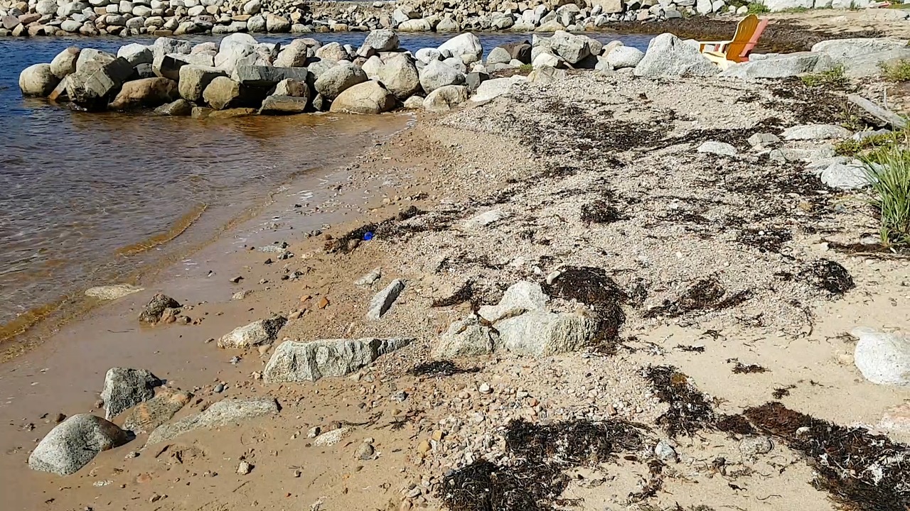 Ocean brings in Unexpected object to beach