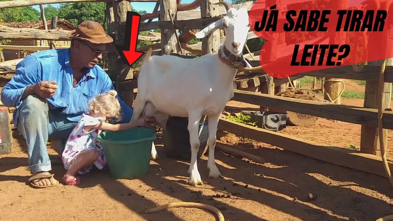 TIRANDO LEITE DE CABRA?😱 VOCÊ NÃO VAI ACREDITAR NO QUE ESSA CRIANÇA FAZ!